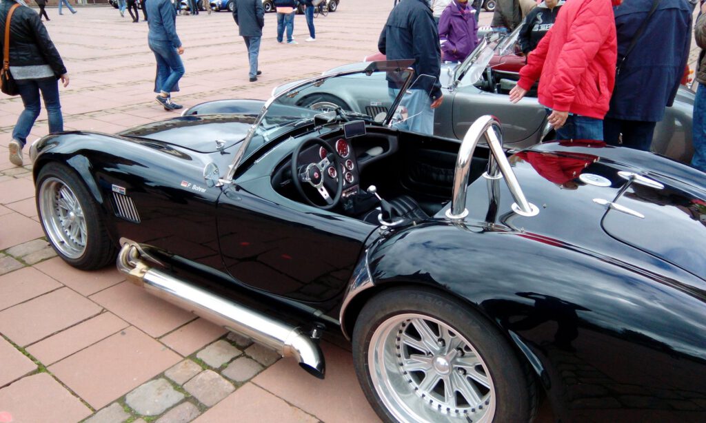 Cobra in Freudenstadt