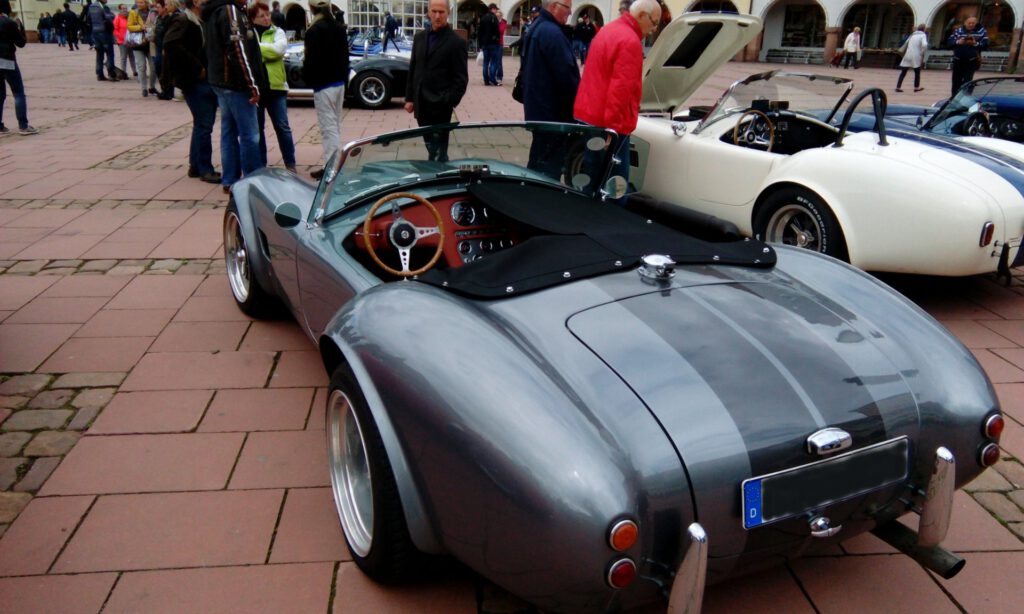 Cobra in Freudenstadt