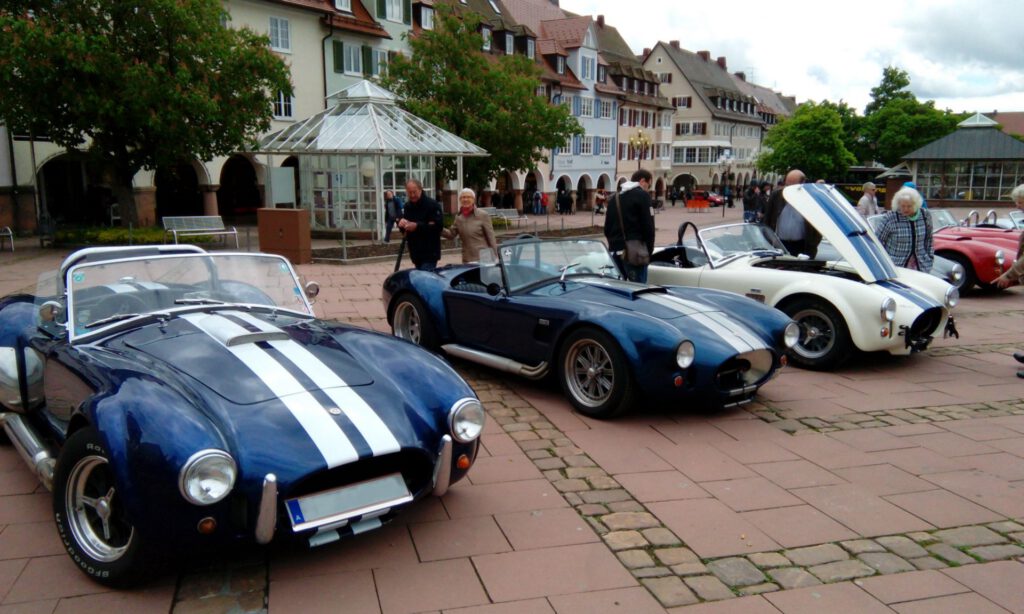 Cobra in Freudenstadt