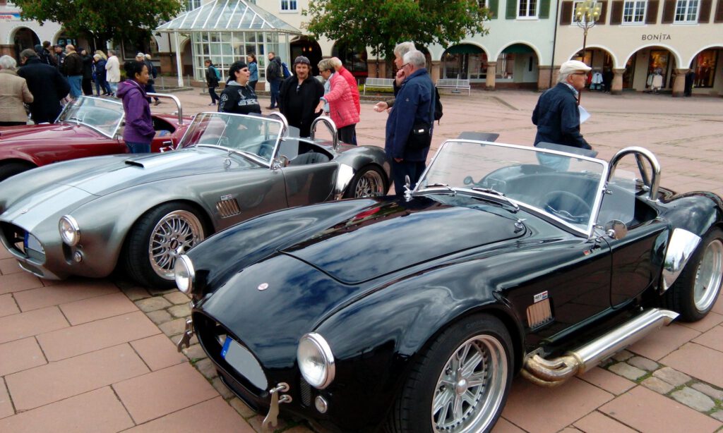 Cobra in Freudenstadt