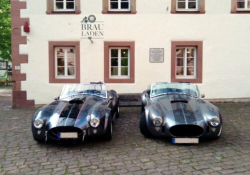 Cobras im Schwarzwald