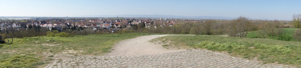 DSC03744