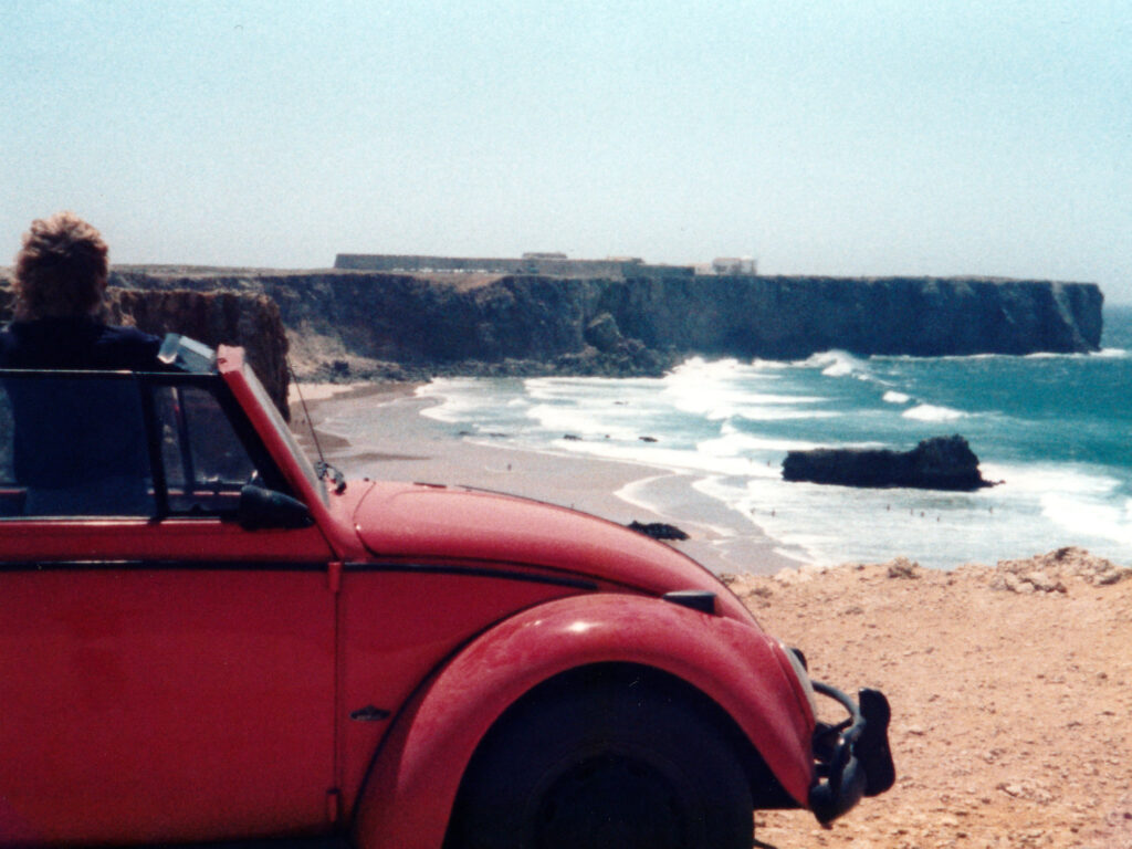 Käfer vor Sagres