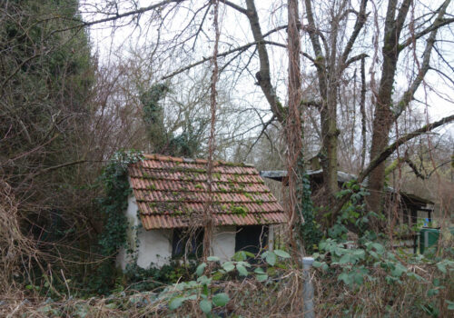 Auenlandschaften