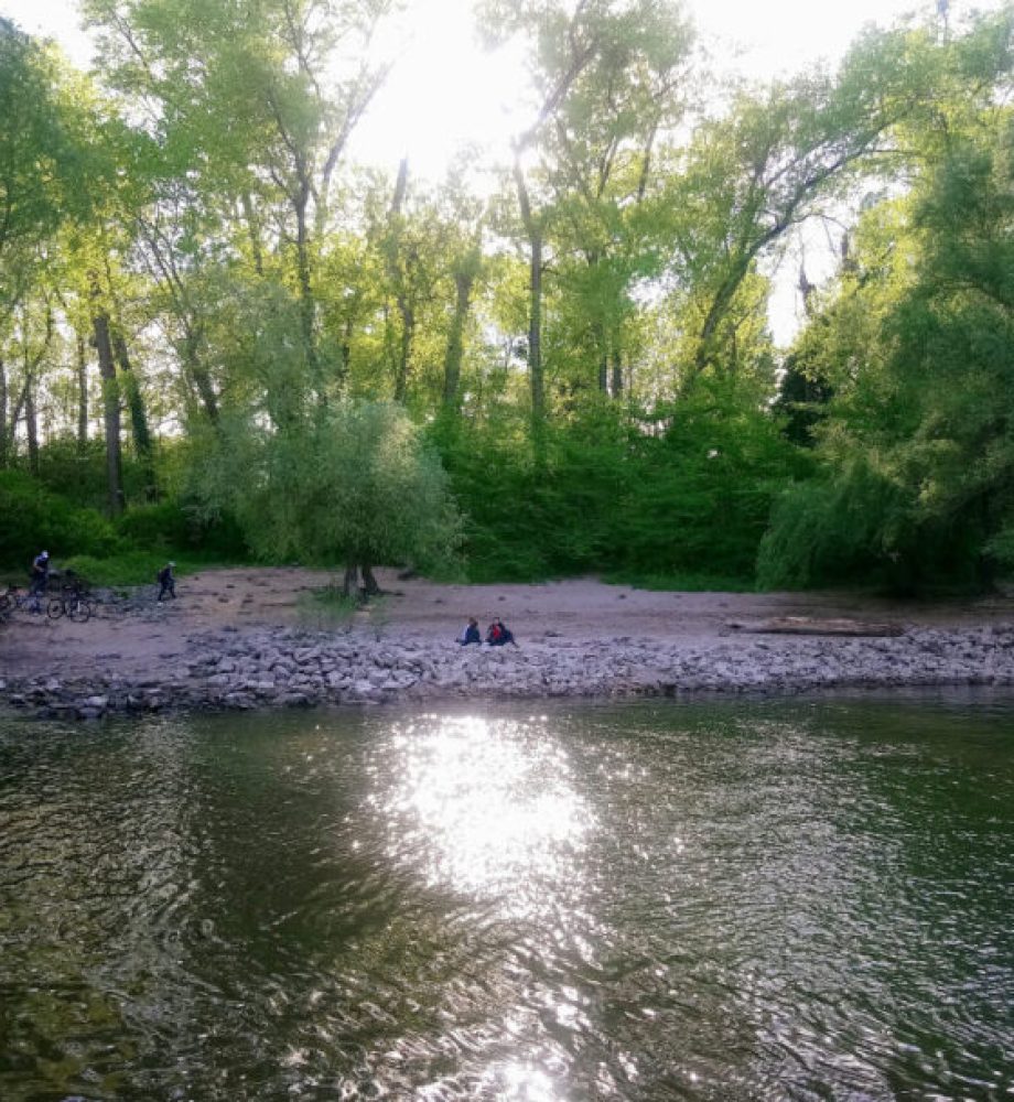 An der Rehbachmündung